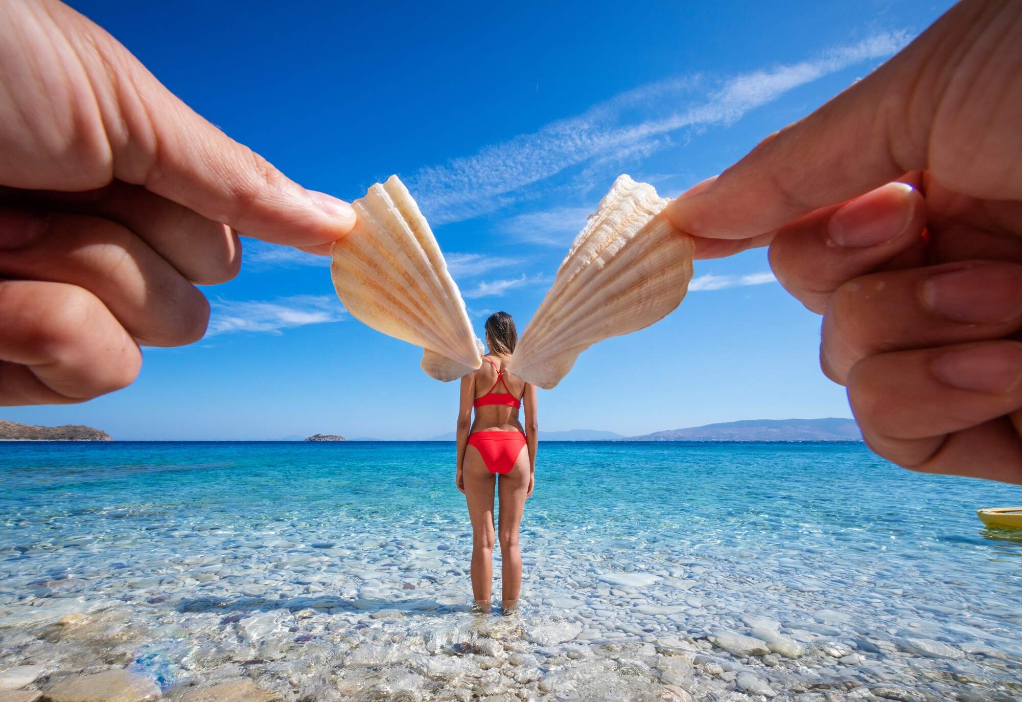zee, vleugels, schelpjes, handen, vrouw in bikini 