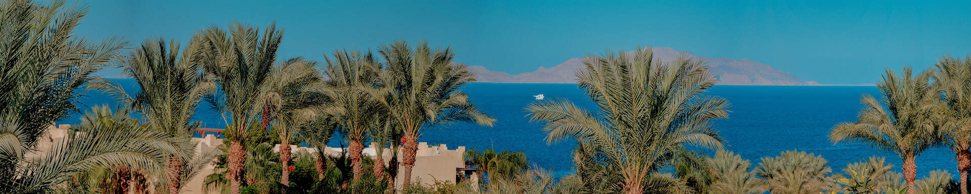 egypte header last minutes