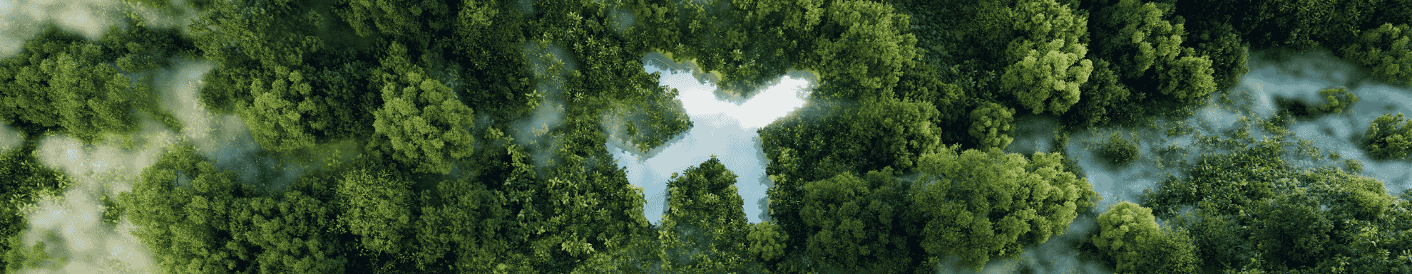 Bovenaanzicht van een groen landschap met daarin een vliegtuig uitgesneden