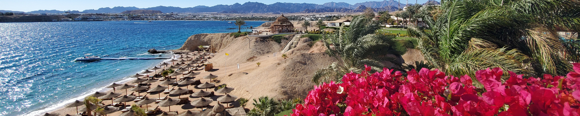 sharm el sheikh strand en bloemen