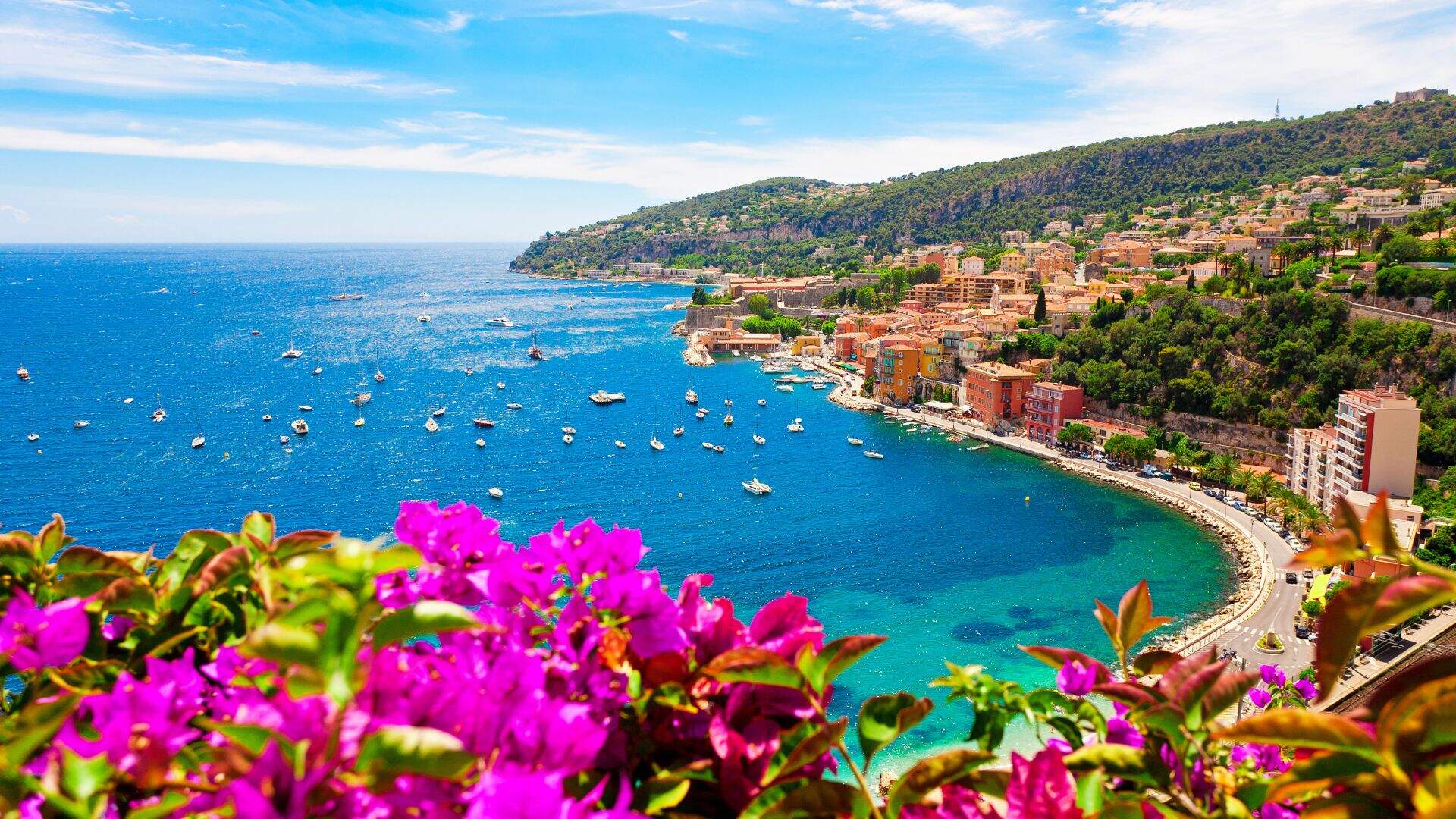 uitzicht op de bluawe zee met veel bootjes in het water en verschillende huisjes aan zee en op de berg met veel bomen en roze mooie bloemen op de voorgrond